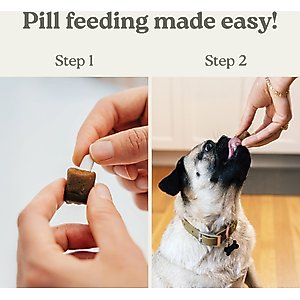 Pill Buddy Naturals Peanut Butter & Apple Soft & Chewy Dog Treats, 30 count