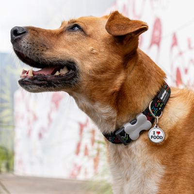 Show full view: Red Dingo I Love Food Stainless Steel Personalized Dog & Cat ID Tag, White, Large slide 8 of 10