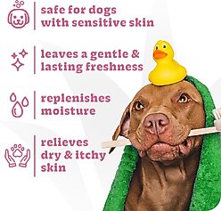 Espree Oatmeal & Baking Soda Aloe Vera Dog & Cat Shampoo, 20-fl oz slide 2 of 7