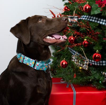 Show full view: Country Brook Design Santa & Friends Martingale Dog Collar, Large slide 2 of 7