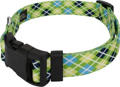 Country Brook Design Margarita Argyle Deluxe Dog Collar, X-Small slide 2 of 5