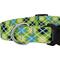 Show in main carousel: Country Brook Design Margarita Argyle Deluxe Dog Collar, X-Small slide 5 of 5