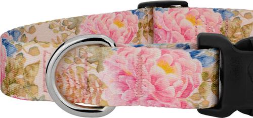 Show full view: Country Brook Design Deluxe Watercolor Peonies Dog Collar, X-Large slide 6 of 6