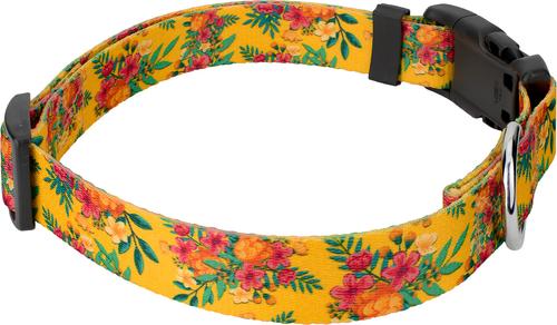 Show full view: Country Brook Design Deluxe Tropical Floral Dog Collar, Medium slide 4 of 5