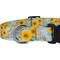 Show in main carousel: Country Brook Design Deluxe Sunny Days Dog Collar, Large slide 5 of 6