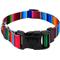 Show in main carousel: Country Brook Design Deluxe Serape Dog Collar, Multi Color, Medium slide 1 of 9