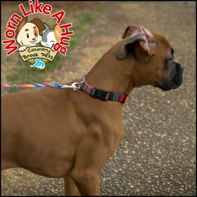Show full view: Country Brook Design Deluxe Serape Dog Collar, Multi Color, Medium slide 4 of 9