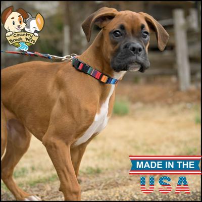 Show full view: Country Brook Design Deluxe Serape Dog Collar, Multi Color, Medium slide 3 of 9