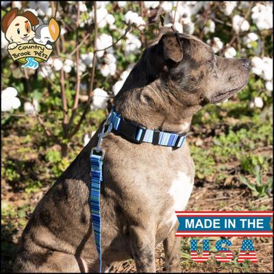 Show full view: Country Brook Design Deluxe Serape Dog Collar, Blue, Small slide 3 of 9