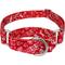 Show in main carousel: Country Brook Design Ho Ho Ho Martingale Dog Collar, X-Small slide 1 of 5
