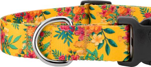 Show full view: Country Brook Design Deluxe Tropical Floral Dog Collar, Medium slide 5 of 5