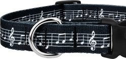 Country Brook Design Deluxe Sheet Music Dog Collar, Small slide 2 of 5