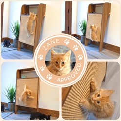 4 Cats & Dogs Wesley Wall Cat Scratcher, Walnut slide 2 of 7
