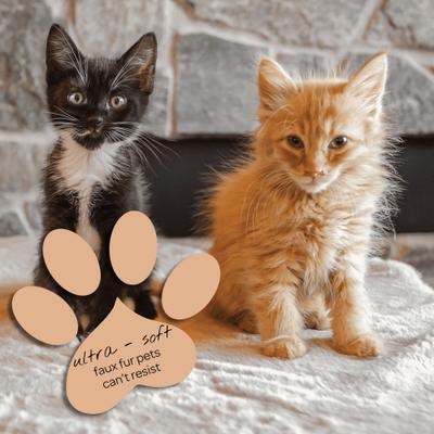 Show full view: 4 Cats & Dogs Pixie Hide Bolster Dog Bed, Beige, Large slide 3 of 3