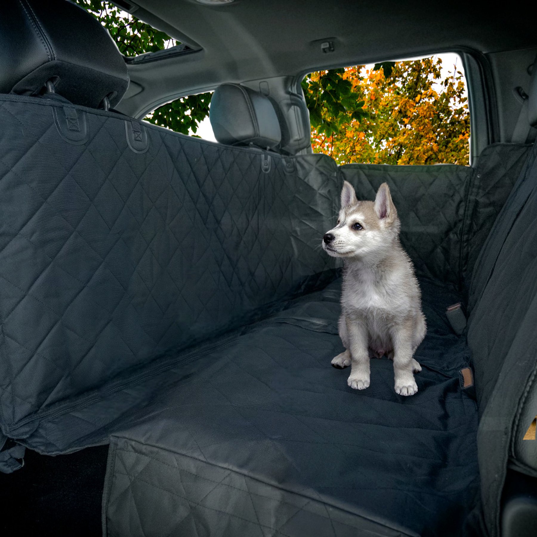 4 Cats & Dogs Jet Car Seat Cover, Black, Regular