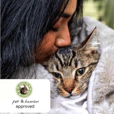 Show full view: 4 Cats & Dogs Throw Dog Furniture Cover, Taupe slide 2 of 6