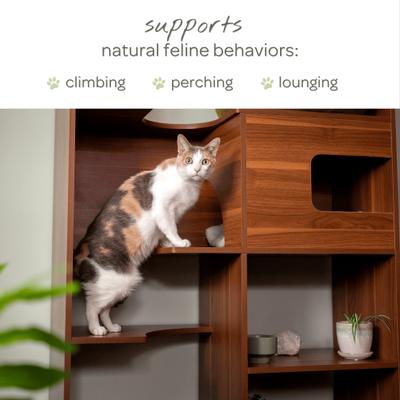 Show full view: 4 Cats & Dogs Clifford Cat Wall Shelf, Oak slide 5 of 6