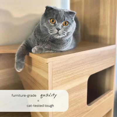 Show full view: 4 Cats & Dogs Clifford Cat Wall Shelf, Oak slide 4 of 6