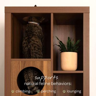 Show full view: 4 Cats & Dogs Cliff Jr. Cat Wall Shelves, Walnut slide 6 of 7