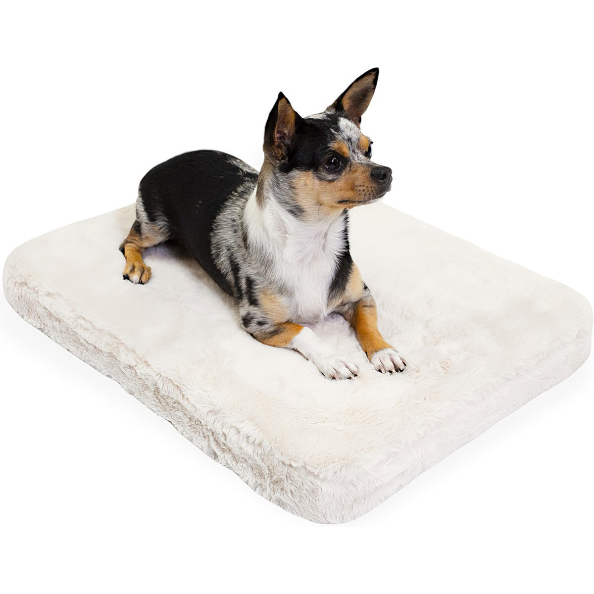4 Cats & Dogs Pixie Pad Leakproof Dog Bed, Beige, Small