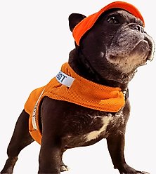 Pebot Hedwig Dog & Cat Sun Protection Cooling Harness, Ginger, Size 10