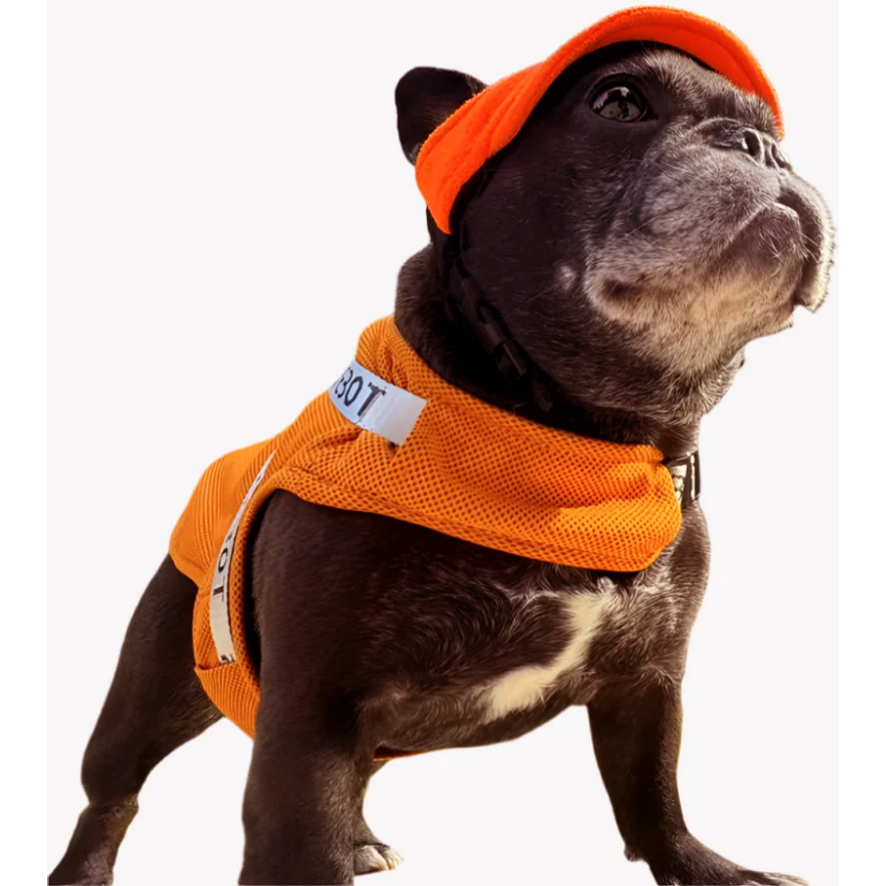 Pebot Hedwig Dog & Cat Sun Protection Cooling Harness, Ginger, Size 18