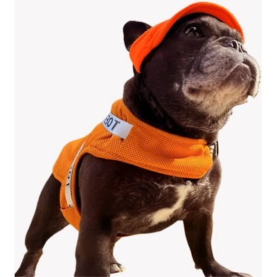 Pebot Pebot Hedwig Dog & Cat Sun Protection Cooling Harness, Ginger, Size 10