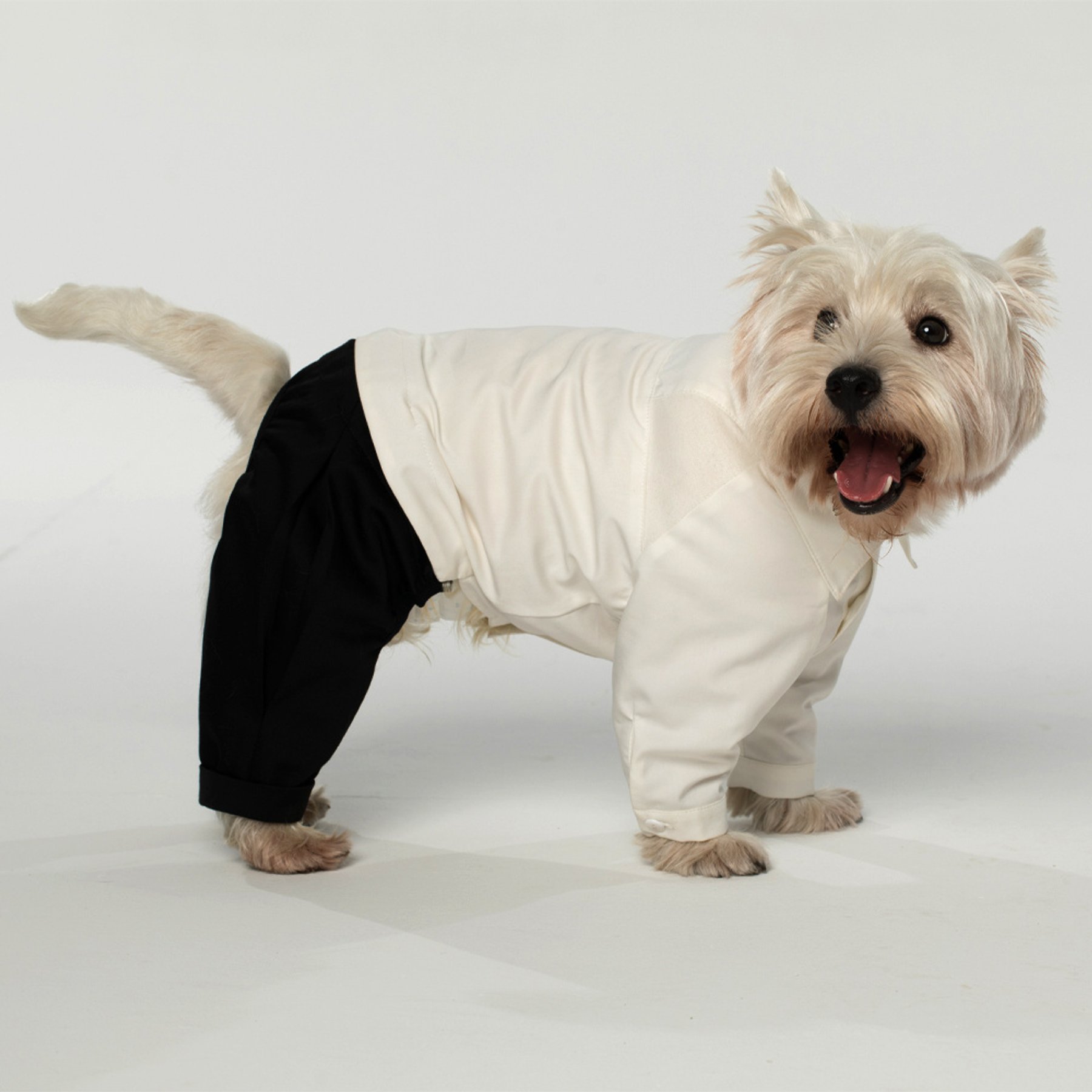 Pebot Jack Dog & Cat Shirt Pant Suit Set, White/Black, Size 18