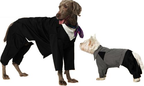 Show full view: Pebot Jack Dog & Cat Shirt Pant Suit Set, White/Black, Size 12 slide 4 of 5