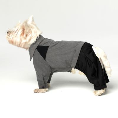 Show full view: Pebot Jack Dog & Cat Shirt Pant Suit Set, Gray/Black, Size 10 slide 3 of 5