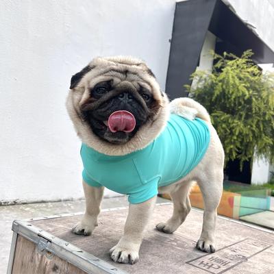 Show full view: Pebot Gobi Dog & Cat UPF 50+ Sun Protection T-Shirt, Teal, Size 12 slide 6 of 7