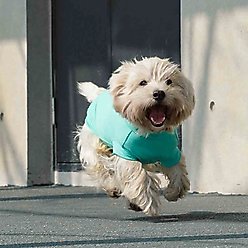Pebot Gobi Dog & Cat UPF 50+ Sun Protection T-Shirt, Teal, Size 20 slide 2 of 7