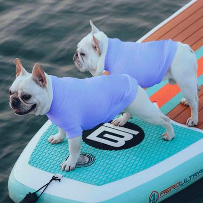 Show full view: Pebot Gobi Dog & Cat UPF 50+ Sun Protection T-Shirt, Lavender, Size 20 slide 2 of 5