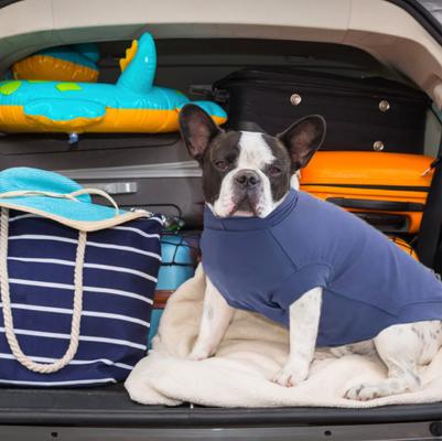 Show full view: Pebot Gobi Dog & Cat UPF 50+ Sun Protection T-Shirt, Grape, Size 18 slide 2 of 3