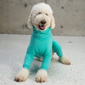 Pebot Gumdrop Dog & Cat Fleece Onesie, Teal, Size 22