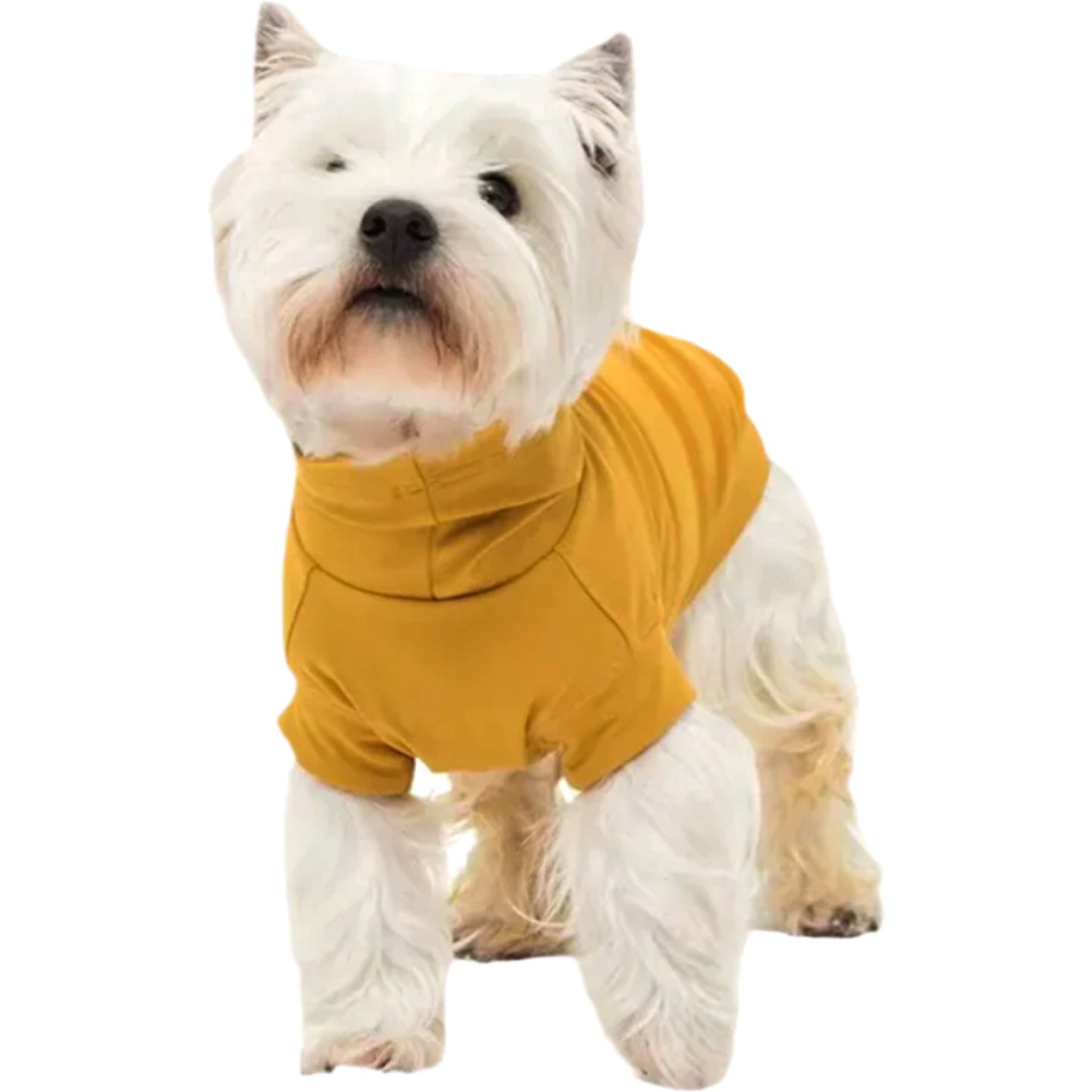 Pebot Gobi Dog & Cat UPF 50+ Sun Protection T-Shirt, Ginger, Size 24
