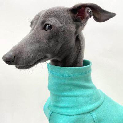 Show full view: Pebot Gumdrop Dog & Cat Fleece Onesie, Teal, Size 12 slide 5 of 9