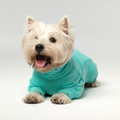 Show full view: Pebot Gumdrop Dog & Cat Fleece Onesie, Teal, Size 12 slide 3 of 9