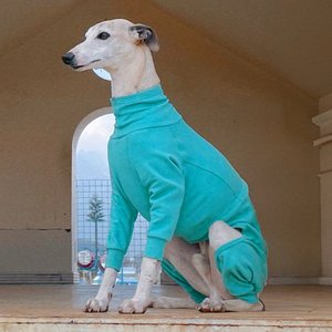 Pebot Gumdrop Dog & Cat Fleece Onesie, Teal, Size 22