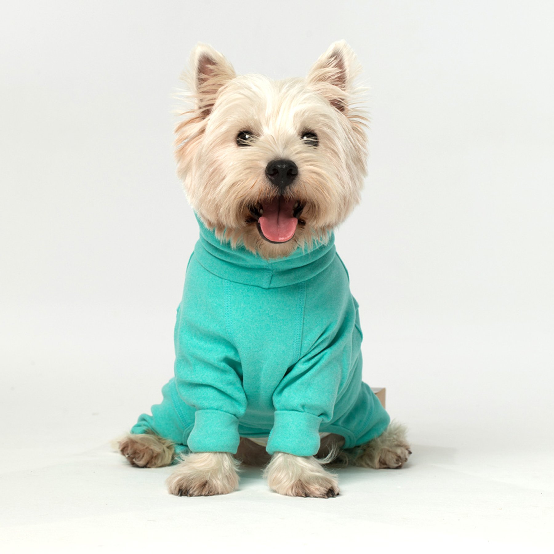 Pebot Gumdrop Dog & Cat Fleece Onesie, Teal, Size 20