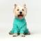Show in main carousel: Pebot Gumdrop Dog & Cat Fleece Onesie, Teal, Size 12 slide 1 of 9