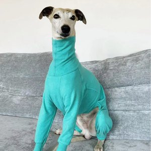 Pebot Gumdrop Dog & Cat Fleece Onesie, Teal, Size 22
