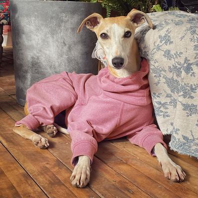 Show full view: Pebot Gumdrop Dog & Cat Fleece Onesie, Pink, Size 16 slide 3 of 6