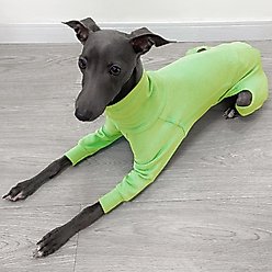 Pebot Gumdrop Dog & Cat Fleece Onesie, Olive, Size 24