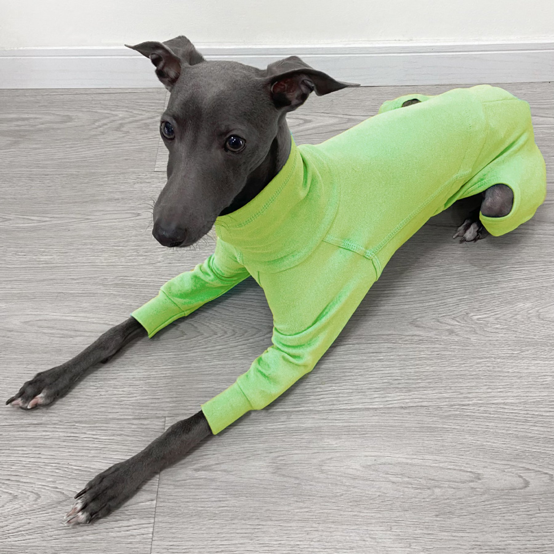 Pebot Gumdrop Dog & Cat Fleece Onesie, Olive, Size 16
