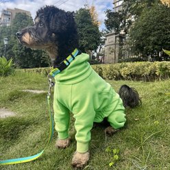 Pebot Gumdrop Dog & Cat Fleece Onesie, Olive, Size 10 slide 2 of 6