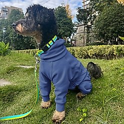 Pebot Gumdrop Dog & Cat Fleece Onesie, Navy, Size 8 slide 2 of 5