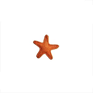 Hip Doggie Loffah Starfish Stuffing-Free Dog Chew Toy, Small