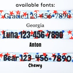 Country Brook Petz Personalized American Celebration Dog Collar, Small: 11 to 13-in neck, 3/4-in wide slide 2 of 6