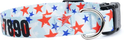 Show full view: Country Brook Petz Personalized American Celebration Dog Collar, Medium: 13 to 16-in neck, 1-in wide slide 5 of 7